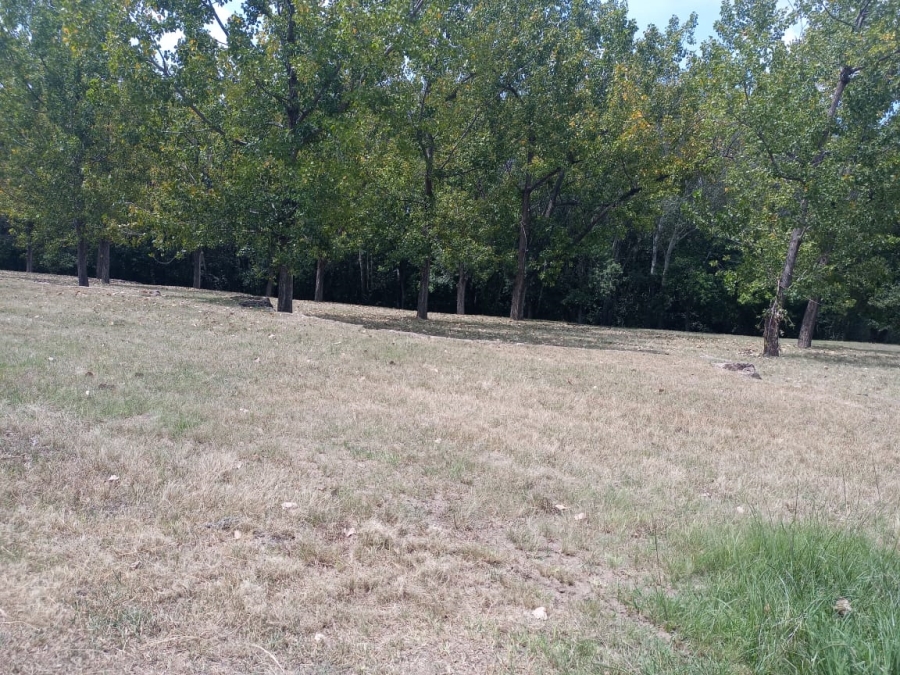 0 Bedroom Property for Sale in Willow Creek Riverfront Residential Estate Free State